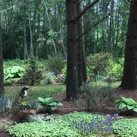 Reinholdi Puhkemaja *