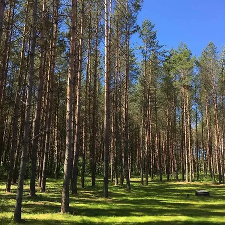 Dom wakacyjny Reinholdi Puhkemaja *