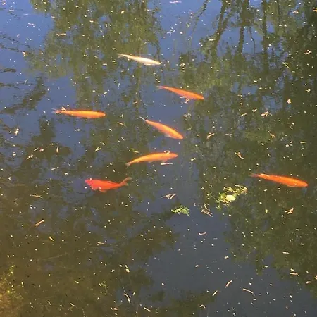 Reinholdi Puhkemaja Dom wakacyjny Jabara