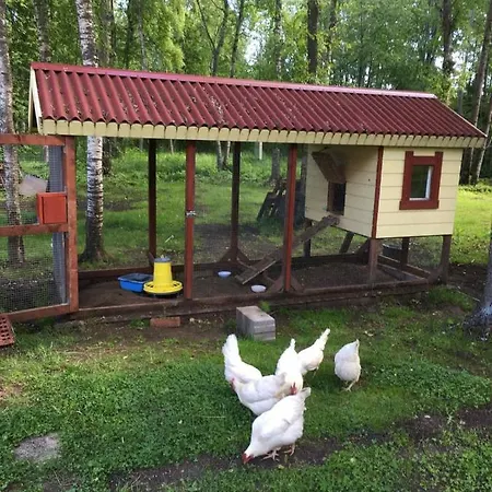 Reinholdi Puhkemaja Dom wakacyjny Jabara