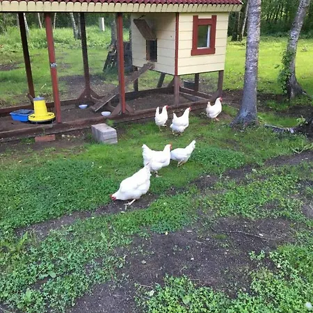 Reinholdi Puhkemaja *