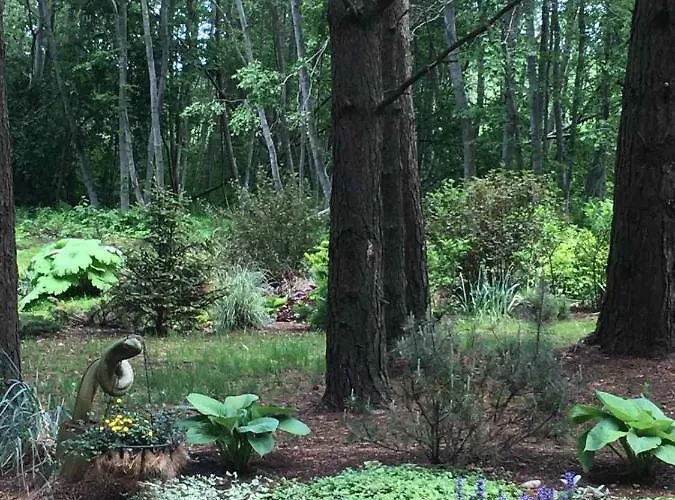 Reinholdi Puhkemaja *