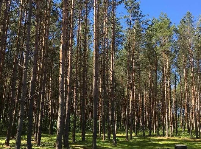 Дом отдыха Reinholdi Puhkemaja *