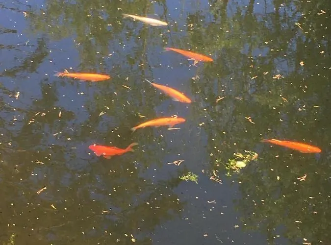 Reinholdi Puhkemaja Дом отдыха Jabara