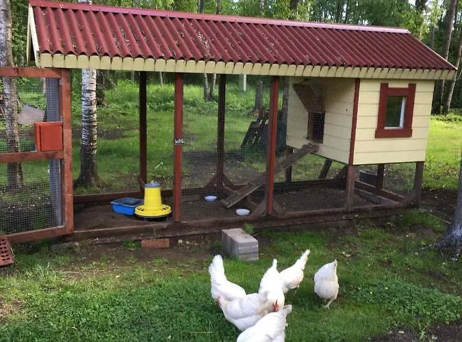 Reinholdi Puhkemaja Дом отдыха Jabara