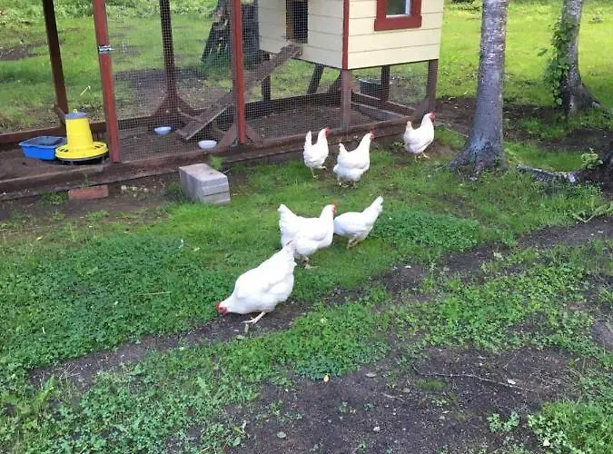 Reinholdi Puhkemaja *